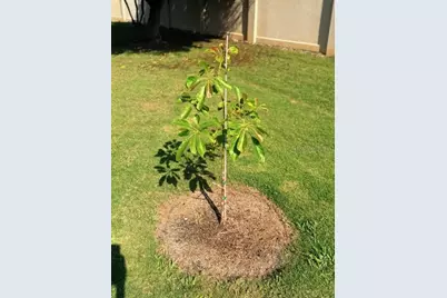 5102 19th Avenue W, Bradenton, FL 34209 - Photo 68