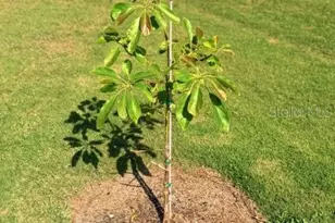 5102 19th Ave W, Bradenton, FL 34209 - Photo 68