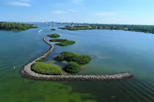 1401 Kenilworth St, Sarasota, FL 34231 - Photo 58