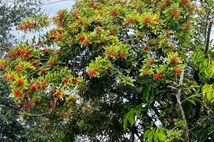 501 25th Ave W, Bradenton, FL 34205 - Photo 28