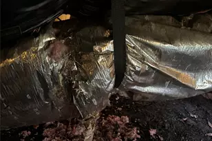 25250 E Sr 64, Myakka City, FL 34251 - Photo 4