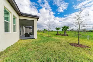 12208 Violet Jasper Dr, Parrish, FL 34219 - Photo 60