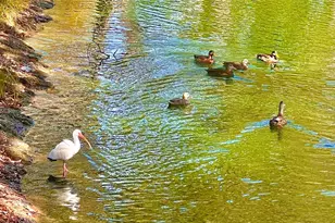 7801 Ontario St Cir, Sarasota, FL 34243 - Photo 44