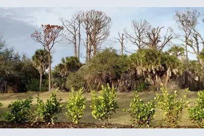 10071 Creekside Drive, Placida, FL 33946 - Photo 14