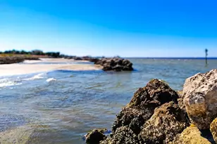 5213 Moon Shell Dr, Apollo Beach, FL 33572 - Photo 60