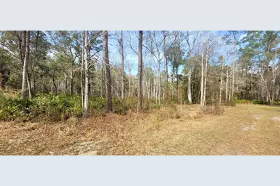 Se 68th Terrace, White Springs, FL 32096 - Photo 6