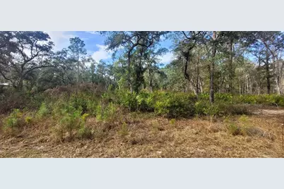 Se 68th Terrace, White Springs, FL 32096 - Photo 4