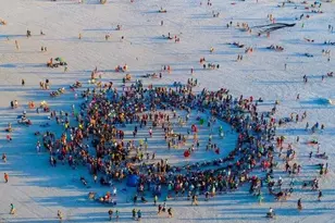 1624 Stickney Point Rd, Sarasota, FL 34231 - Photo 52