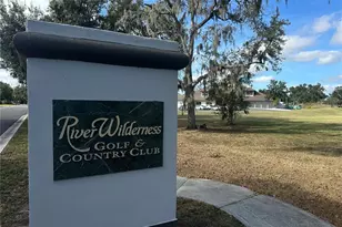 2962 Wilderness Blvd E, Parrish, FL 34219 - Photo 62
