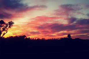 774 Planters Manor Way, Bradenton, FL 34212 - Photo 38