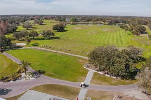 12147 Red Leaf Rd, Parrish, FL 34219 - Photo 52