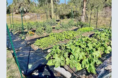 7096 Ticonderoga Street, Englewood, FL 34224 - Photo 10