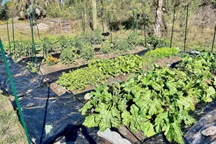 7096 Ticonderoga St, Englewood, FL 34224 - Photo 10