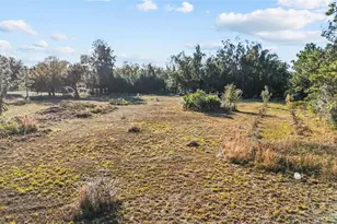 1211 NW Eucalyptus Ave, Arcadia, FL 34266 - Photo 26