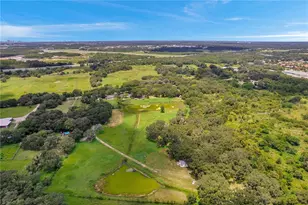 7405 Williams Rd, Seffner, FL 33584 - Photo 96