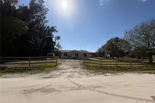 4769 SE Navajo Dr, Arcadia, FL 34266 - Photo 4