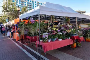 516 Laurel Pk Dr, Sarasota, FL 34236 - Photo 60