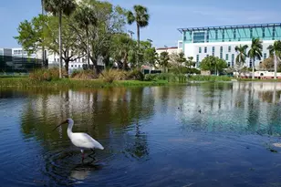 516 Laurel Pk Dr, Sarasota, FL 34236 - Photo 98