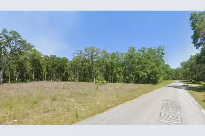 110 NE 558th Street, Old Town, FL 32680 - Photo 2