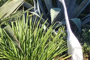 6614 Tallmast Cir, Lakewood Ranch, FL 34202 - Photo 92