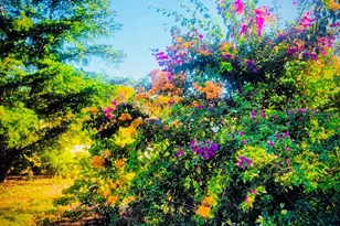 3530 Schwalbe Dr, Sarasota, FL 34235 - Photo 4