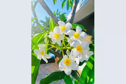 3530 Schwalbe Drive, Sarasota, FL 34235 - Photo 24