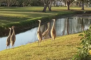 7880 Palm Aire Ln, Sarasota, FL 34243 - Photo 16