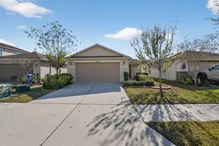 10438 Laguna Plains Dr, Riverview, FL 33578 - Photo 1