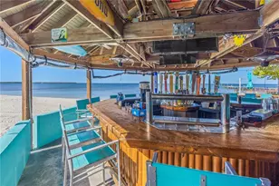 3036 Christophers Watch Ln, Ruskin, FL 33570 - Photo 64