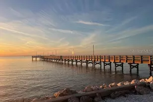 3036 Christophers Watch Ln, Ruskin, FL 33570 - Photo 70