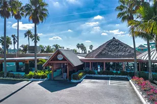 3036 Christophers Watch Ln, Ruskin, FL 33570 - Photo 64