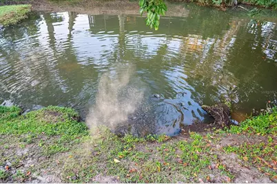 3149 Homasassa Road, Sarasota, FL 34239 - Photo 48