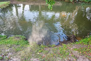 3149 Homasassa Rd, Sarasota, FL 34239 - Photo 48