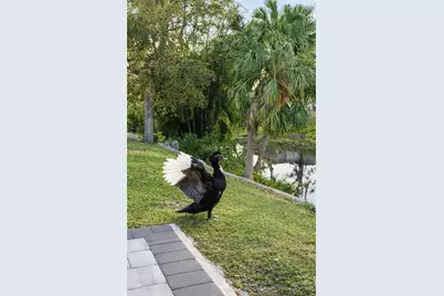 3149 Homasassa Road, Sarasota, FL 34239 - Photo 56