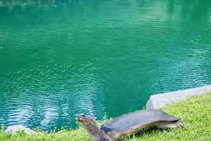 3149 Homasassa Rd, Sarasota, FL 34239 - Photo 56