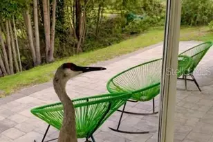 3149 Homasassa Rd, Sarasota, FL 34239 - Photo 50