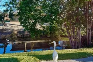 3149 Homasassa Rd, Sarasota, FL 34239 - Photo 58