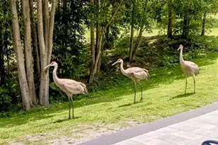 3149 Homasassa Rd, Sarasota, FL 34239 - Photo 52