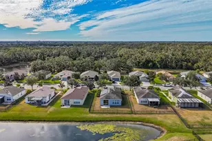 9830 50th St Cir E, Parrish, FL 34219 - Photo 36