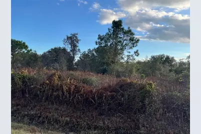 14416 NW 252nd Street, Okeechobee, FL 34972 - Photo 22