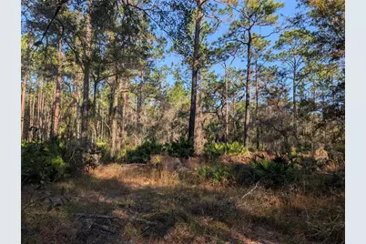 W Rosedale Drive, Homosassa, FL 34448 - Photo 6
