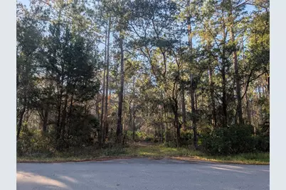 W Rosedale Drive, Homosassa, FL 34448 - Photo 4