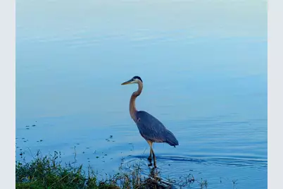 8099 Saint Kitts Circle, Englewood, FL 34224 - Photo 30