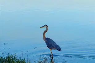 8099 St Kitts Cir, Englewood, FL 34224 - Photo 30