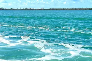 8099 St Kitts Cir, Englewood, FL 34224 - Photo 28