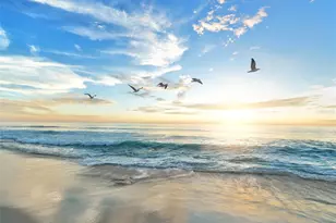 1240 Solitude Ln, Sarasota, FL 34242 - Photo 2