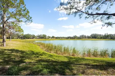 3707 Wild Blossom Place, Parrish, FL 34219 - Photo 40