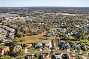 3522 Little Country Rd, Parrish, FL 34219 - Photo 58