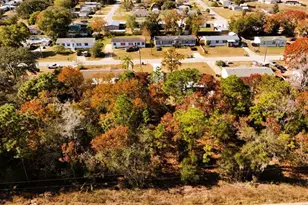 Lot 55 SE 102nd Terrace, Belleview, FL 34420 - Photo 1