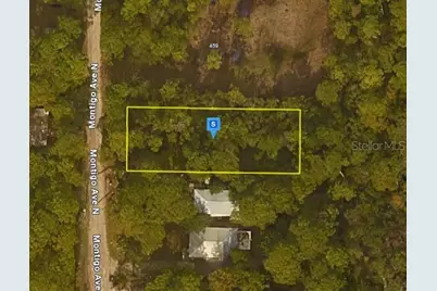 401 N Montigo Avenue, Santa Rosa Beach, FL 32459 - Photo 1